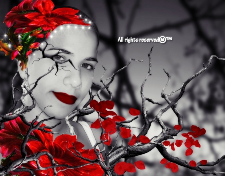 Significance - beauty, branches, her, red, petals, flowers, sparkles, black