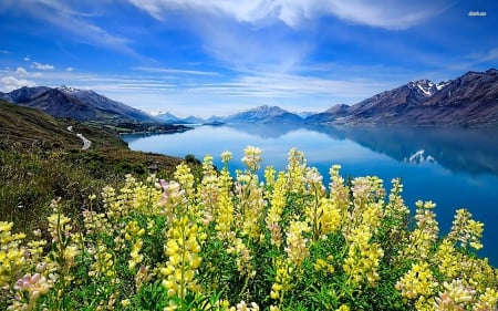 Flowers in the Mountains - nature, lake, mountain, water, mountains, flowers, flower