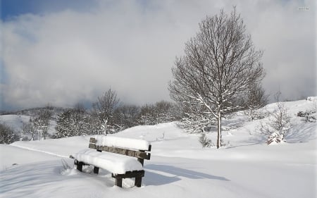 Bench in Winter Park - snow, bench, winter, nature