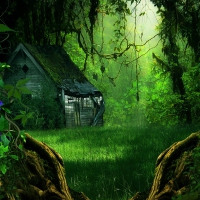 Abandoned House in Fantasy Forest