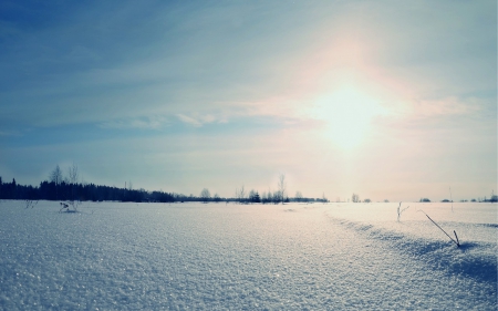 Endless Winter - horizon, white, winter, nature, scenery, snow, sky