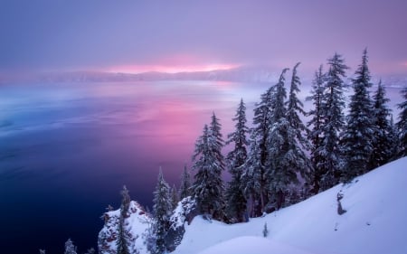 Snowy Mountain - sky, slope, trees, popular, colorful, sunset, lakes, amazing, view, purple, reflection, frozen, usa, lake, mountain, landscape, winter, oregon, wallpaper, serenity, nature, forest, frost, snow, beautiful, scenery