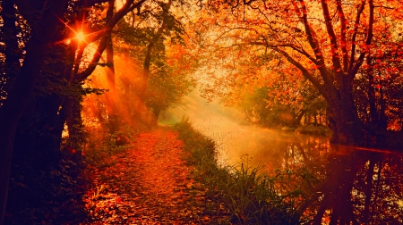 Autumn - sunsset, sunrise, forest, leaves, fall, river, nature, rays, autumn, autumn splendor, sun, woods