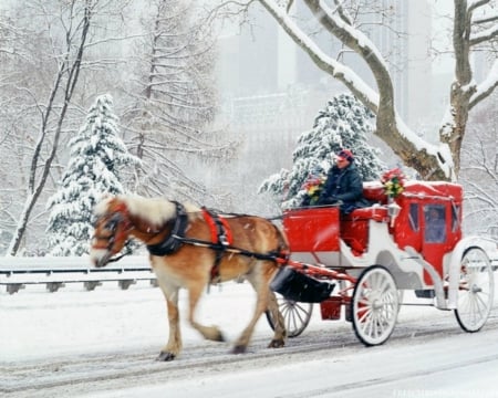 Happy Holidays - holidays, horse, snow, christmas