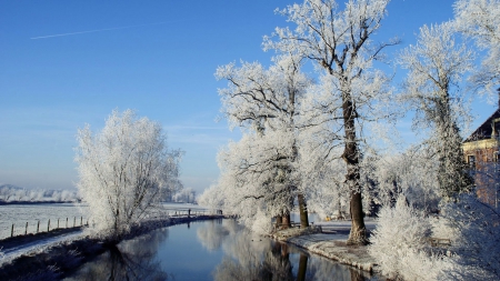 Winter Trees by the River - winter, nature, rivers, trees