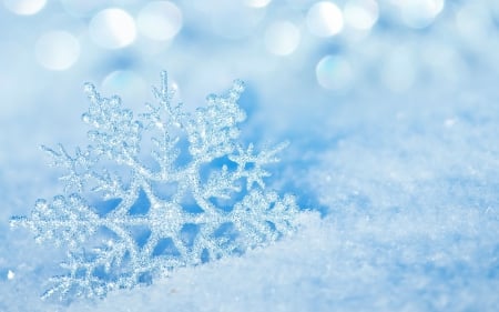 Winter - bokeh, winter, winter time, snowflake, snow