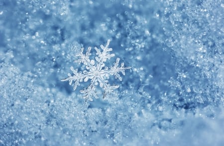 Snowflake - bokeh, snowflake, winter time, snow, winter