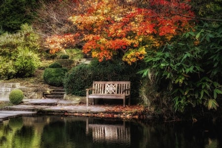 Bench at the lake - nature, season, autumn, lake, forest, tree