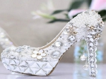 Elegant Shoe