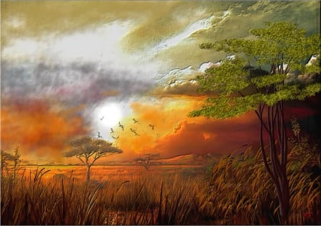 Savana - color, vista, fantasia, pasion