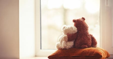 â™¥ - love, tender, teddybear, photography