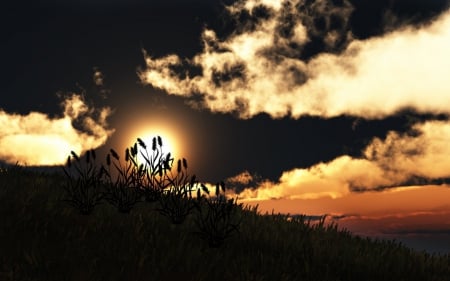 sunset nature - wallp, zoki, nature, suns