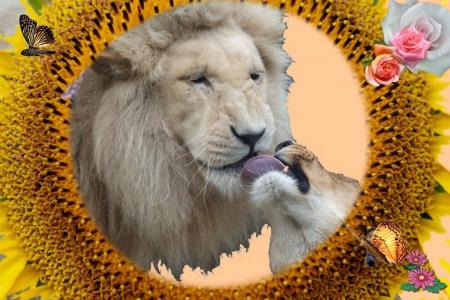 lions - sunflowers, roses, sun, lions