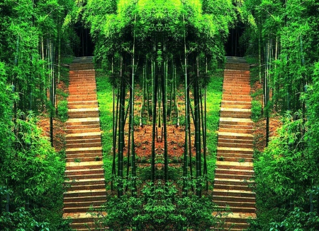 Green Forest - stairs, green, forest, trees