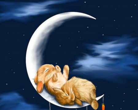 Cute Bunny - moon, nunny, animal, cute