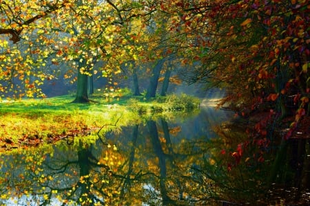 Reflection - trees, water, forest, leaves, fall, nature, autumn, autumn splendor, lake, woods