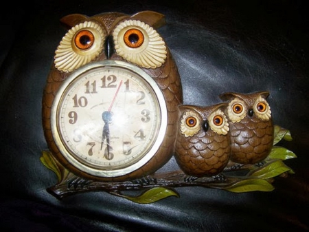 Time for Owls