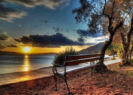 Autumn Sunset - fall leaves, sunset, nature, bench, lake, tree