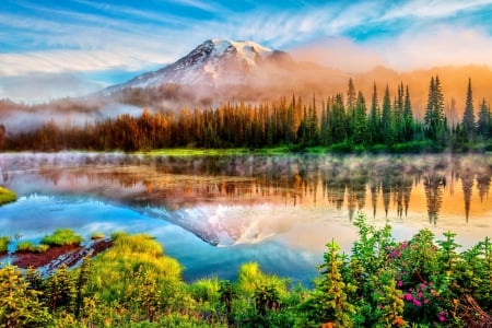 FOGGY SUNRISE from the MOUNTAINS - sky, wild flowers, lake reflection, mountain, morning rise and shine, forest tree, foggy, nature, clouds, beautiful, beautiful nature, splendor, flowers, enchanting nature, sunrise