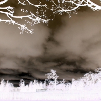 Overcast Invert