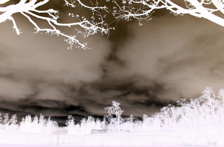 Overcast Invert - white, sky, winter, clouds, nature