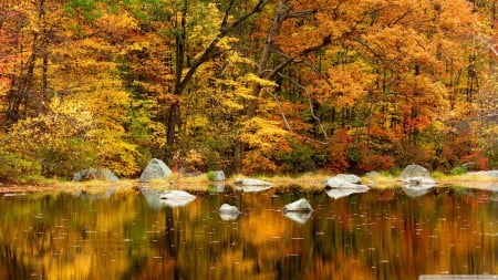 Orange fall - water, landscape, scene, HD, reflection, fall, nature, autumn, lake, seasons, wallpaper