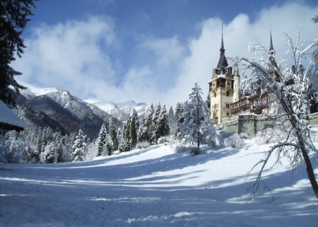 Peles castle in winter - Romania - winter, nature, castle, snow