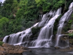 Forest Waterfall