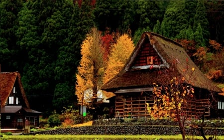 AUTUMN COTTAGE - season, cottage, autumn, hills, mountains, house