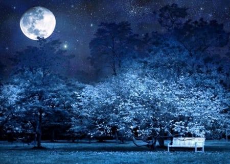 Night park - moon, night, blue, park