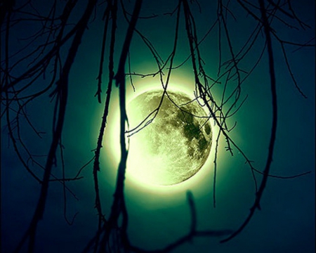 Moon - moon, trees, night, sky