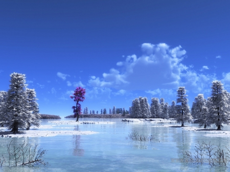 Winter Lake - lake, forest, trees, snow, winter