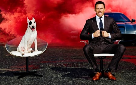 Channing Tatum - white, red, actor, channing tatum, mist, chair, man, dog