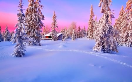 Cabin in winter wood - trees, winter, wood, cabin, beautiful, snow, slope, forest, mountain, cold, frost, sky