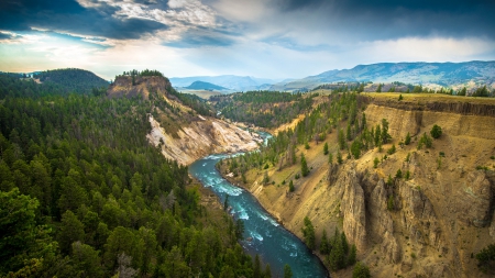 River at Yellowstone National Park - sky, grand, landscape, mountain, trees, park, yellowstone, nature, yellowstone national park, flora, canyon, clouds, river, rivers, tree, usa