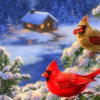 â˜…Cardinals in Winterâ˜…