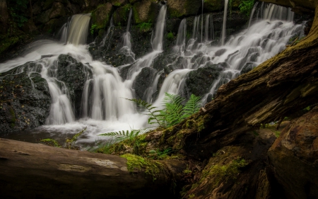 Beautiful Waterfall - log, nature, water, waterfalls