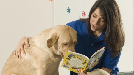 bed time story for bozo the dog - nice, pet, dog, friendly