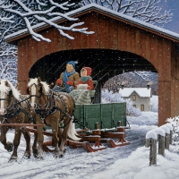 Snow-covered Bridge F2