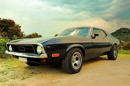 1973 Ford Mustang - Fastback, Ford, Mustang, 1971