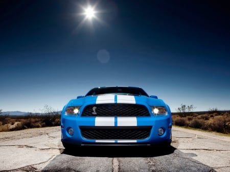 ford shelby mustang gt500 - shelby, ford, mustang, blue