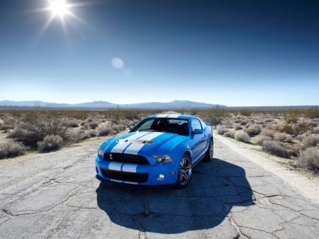 ford shelby mustang gt500