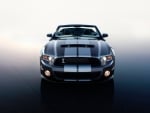 ford shelby mustang gt500 convertible