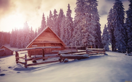 Winter  House - house, forest, winter, snow