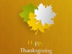 Happy thanksgiving