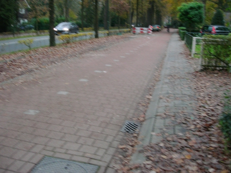 Autumn road - leaves, cars, autumn, bushes