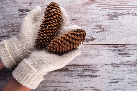 Winter - hands, xmas, pinecone, winter, magic christmas, gloves, christmas, merry christmas, winter time