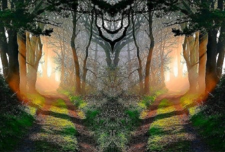 Enchanted Forest - path, trees, collage, forest, enchanted