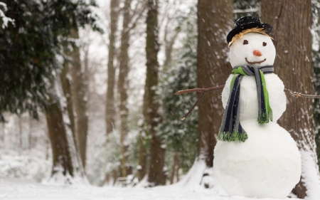 Snowman - hat, white, snowman, winter, scarf, green, snow, tree