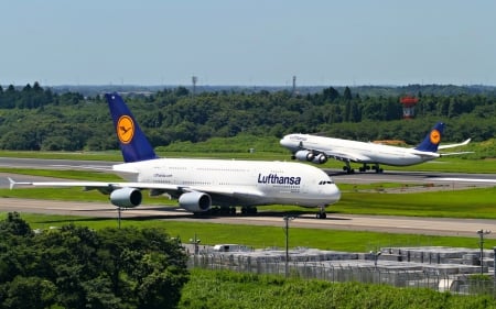 Waiting for takeoff - boeing, plane, takeoff, trees